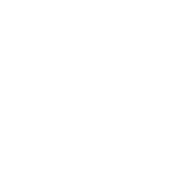 Procedimientos especializados